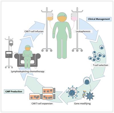 Advancing CART therapy for acute myeloid leukemia: recent breakthroughs and strategies for future development